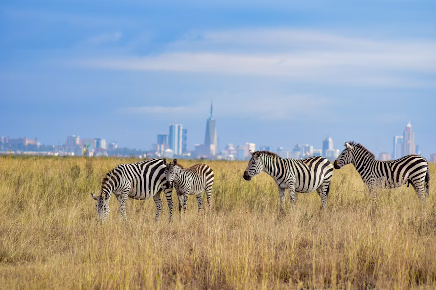 Nairobi National Park
